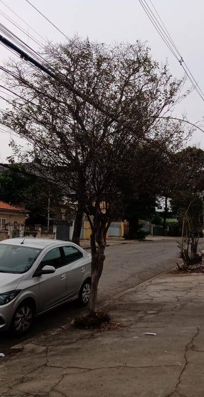 Imóvel